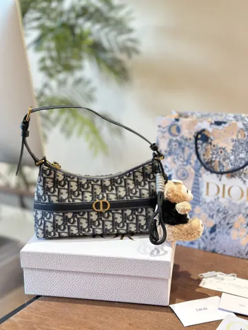 Dior Hobo