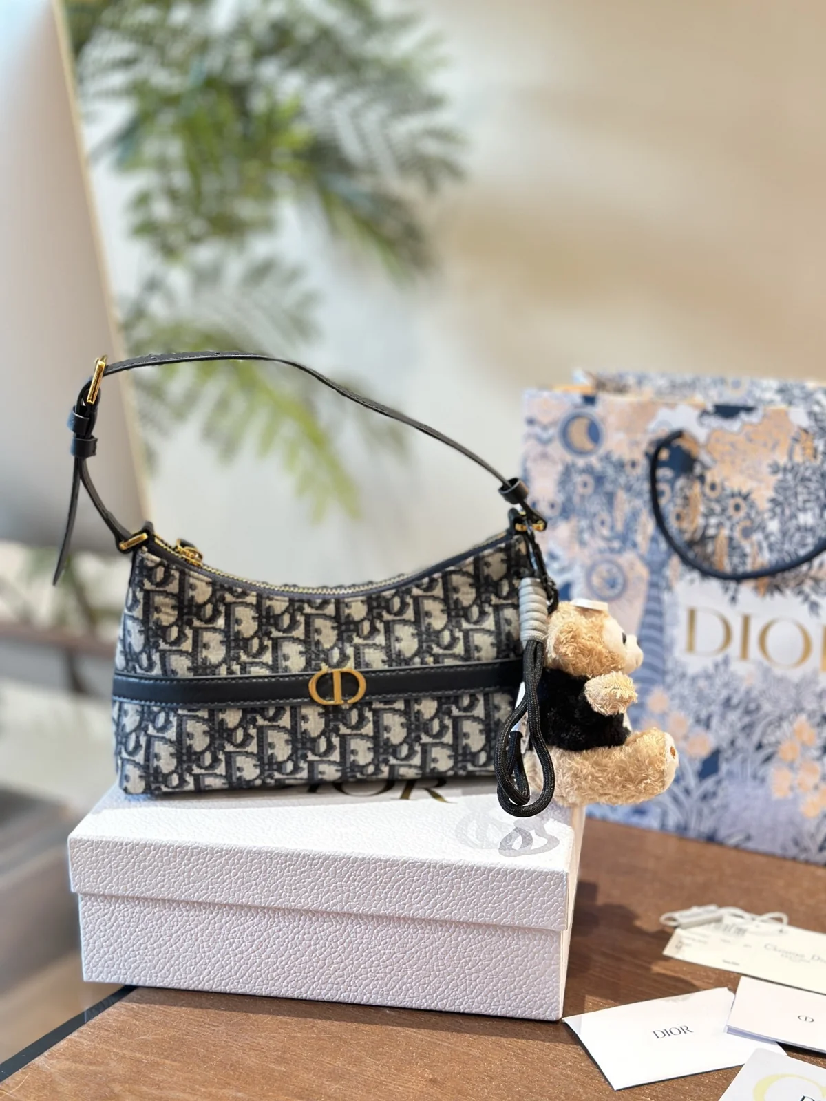 Dior Hobo