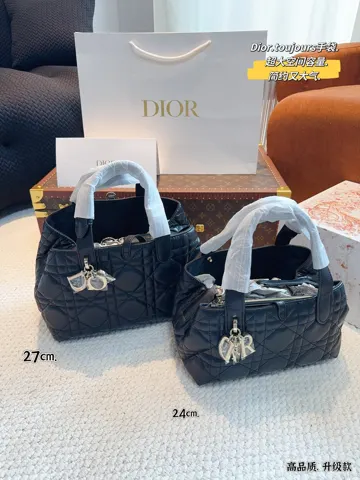 Dior Bag