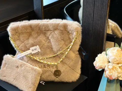 Chanel Bag
