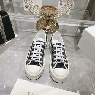Dior new style – embroidery