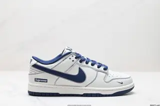 Nike SB Dunk Low Sneakers NC2103-302