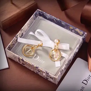 New DIOR letter earrings Same brass material as in the store