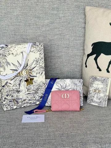 Dior Card Holder