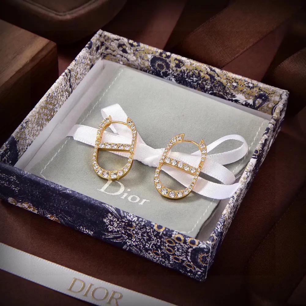 dior New DIOR stud earrings