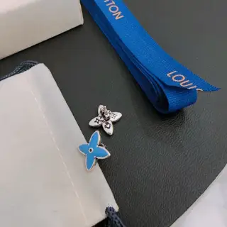 Louis Vuitton earrings