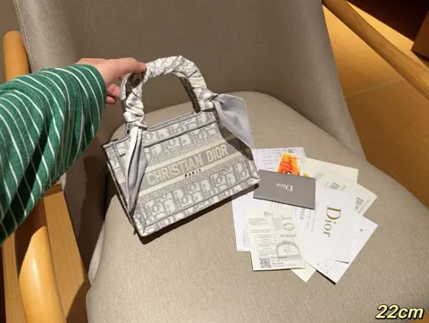 Dior Book Tote