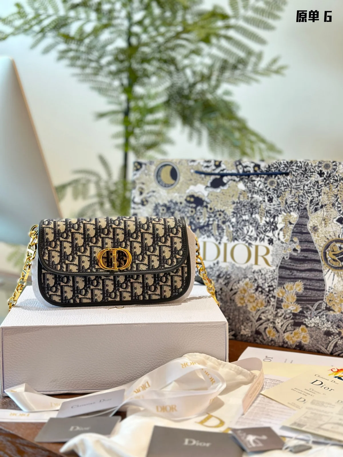 Dior Bag