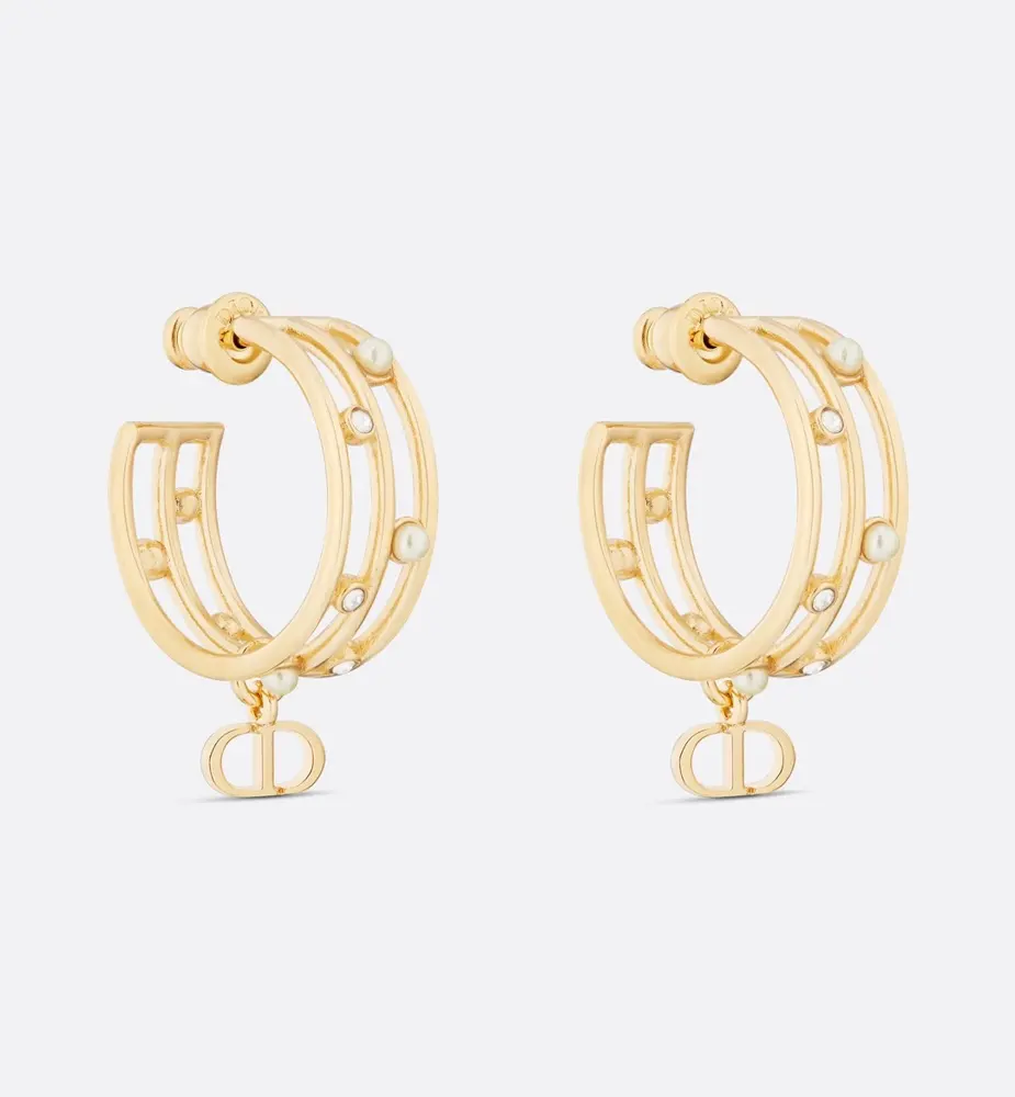 DIOR CD earrings