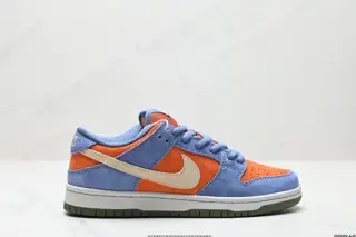 Nike DUNK LOW Dunk Series Retro Low-top Casual Sports Skateboard Shoes HF3063-002