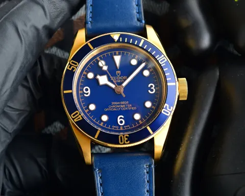 Tudor Watch