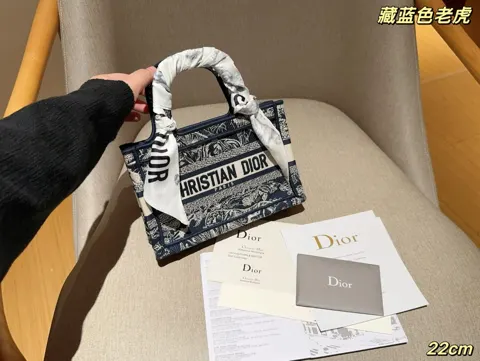 Dior Book Tote
