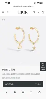 Dior new style Dior new letter earrings loved by top brands. The metal texture