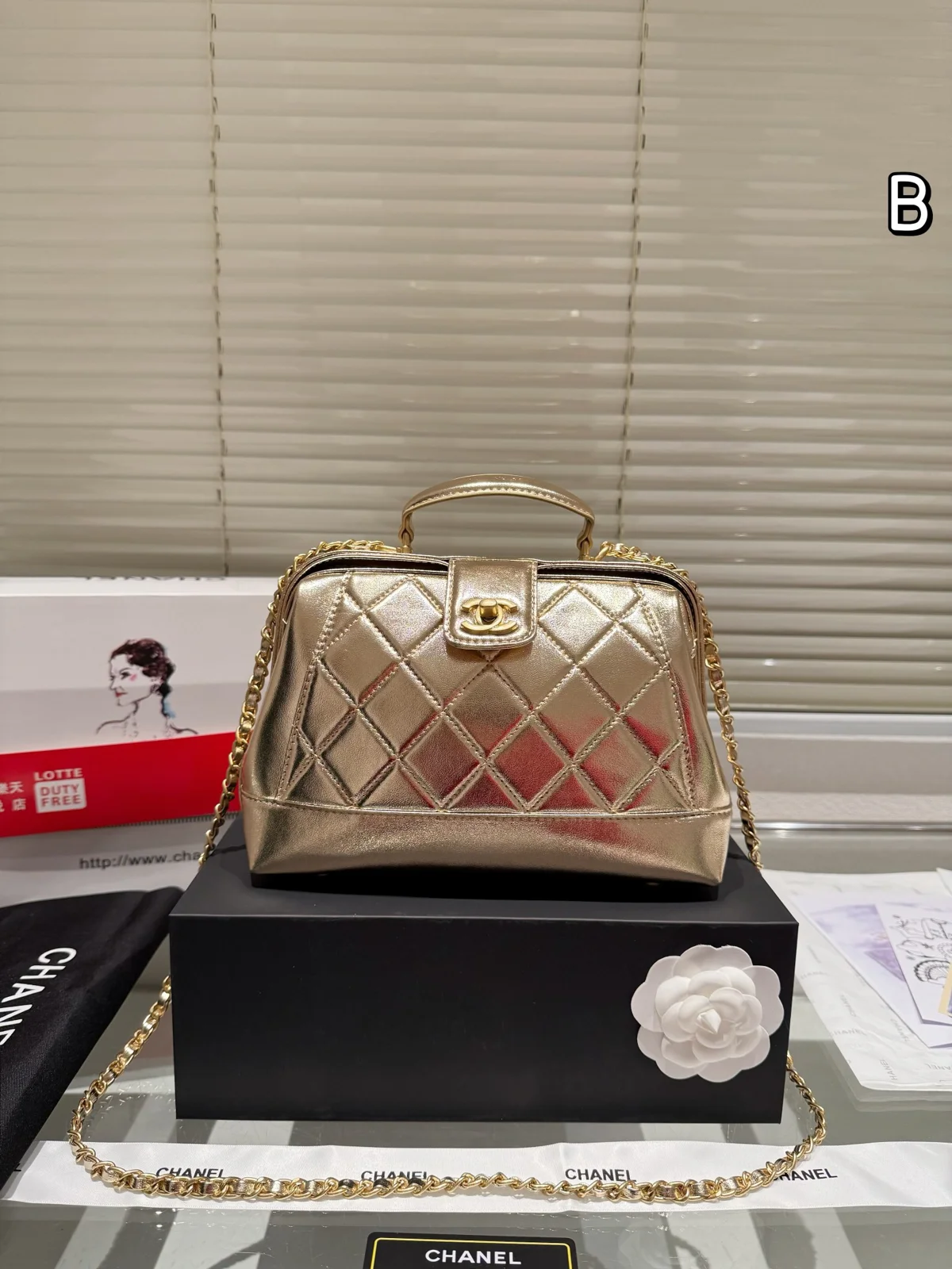 Chanel Bag