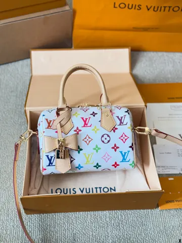 Louis Vuitton Bag
