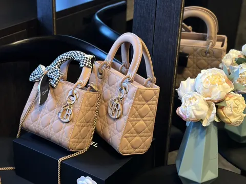 Dior Bag