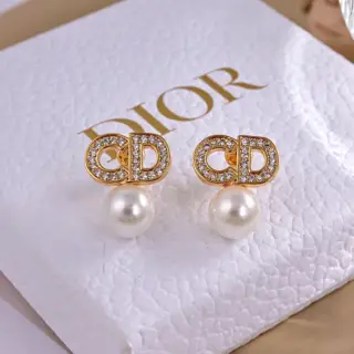 Dior new style Dior new letter earrings loved by all the top brands. The metal texture