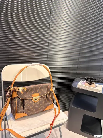 Louis Vuitton Bag