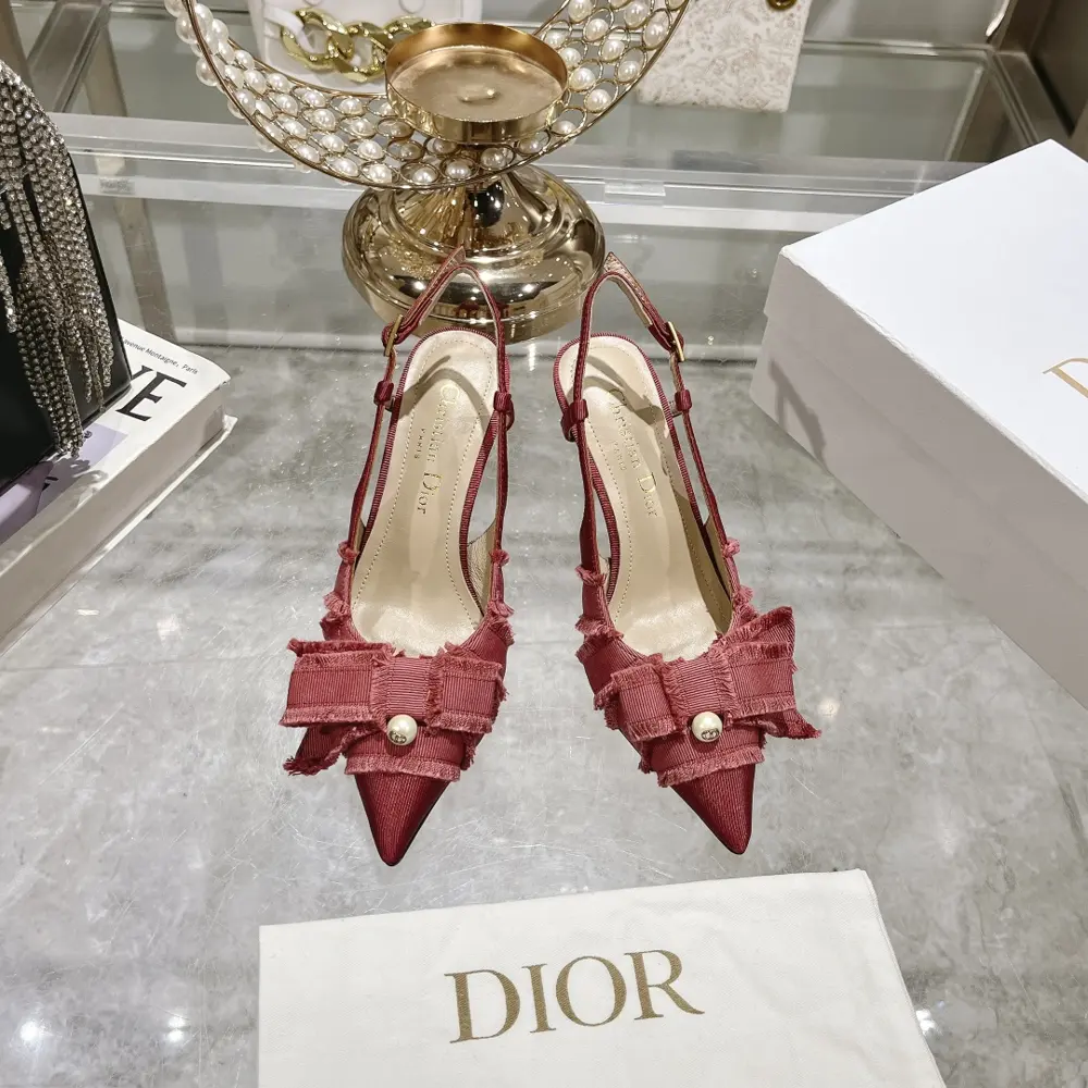 Fringed webbing women’s shoes Dior 2024 autumn catwalk new Adiorble women’s shoes CD