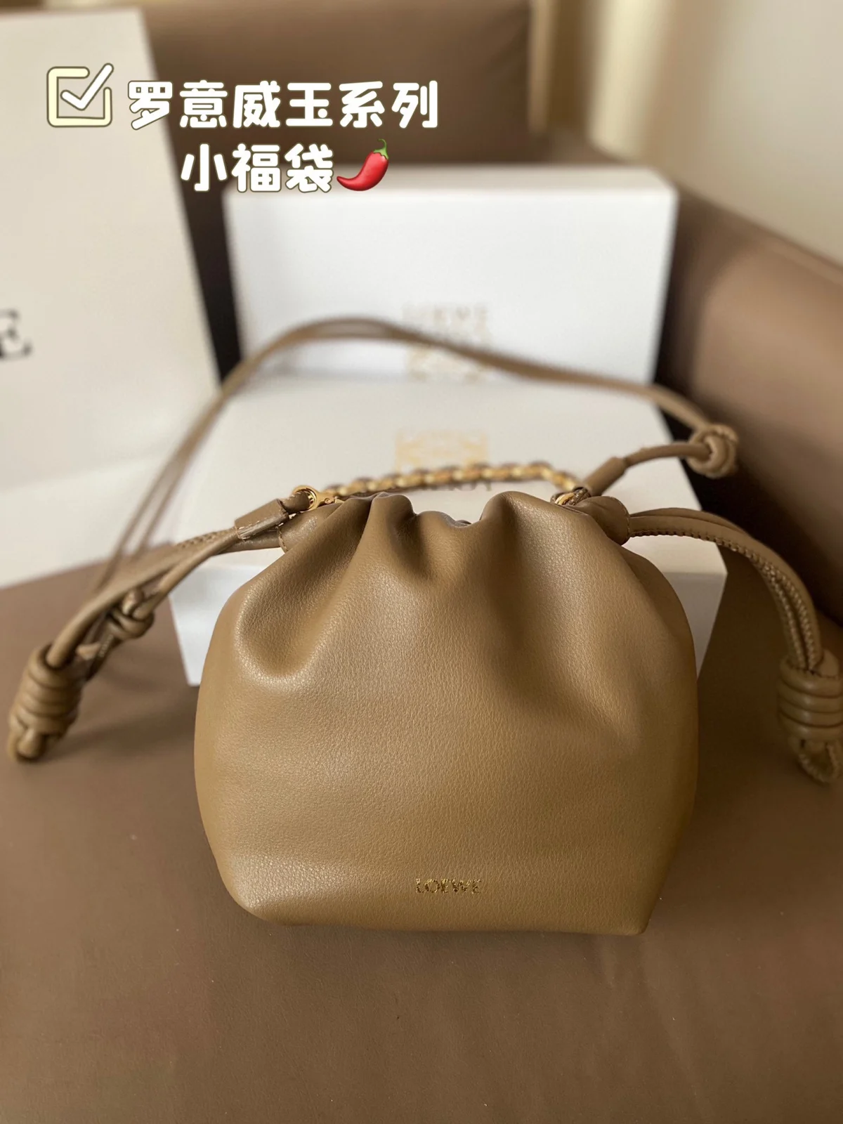Loewe Bag