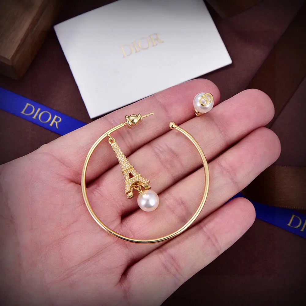 Dior new style Dior new letter earrings loved by top brands. The metal texture