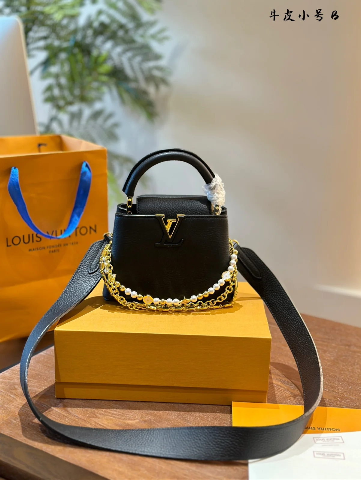 Louis Vuitton Bag