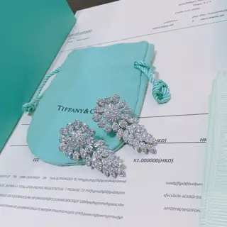 Tiffany Earrings Commemorative Edition Behind the Scenes Horse Eye Earrings