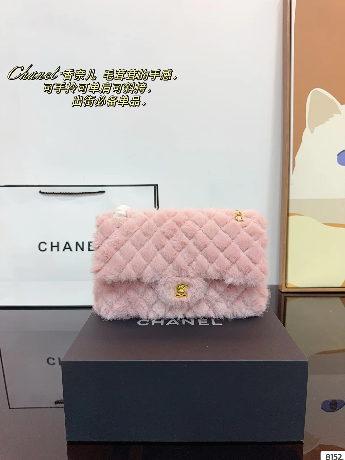 Chanel Bag