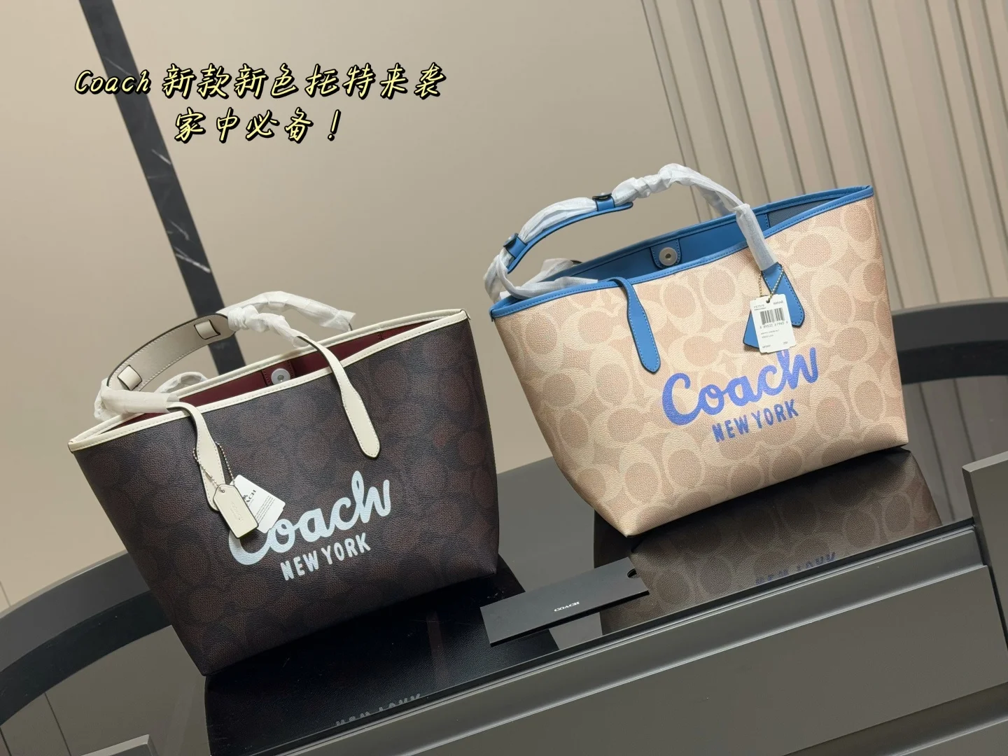 COACH Tote