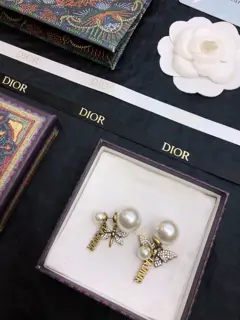 Dior earrings new style beautiful simple and elegant fashionable low-key and luxurious