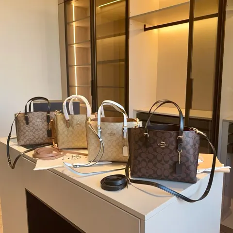 COACH Tote