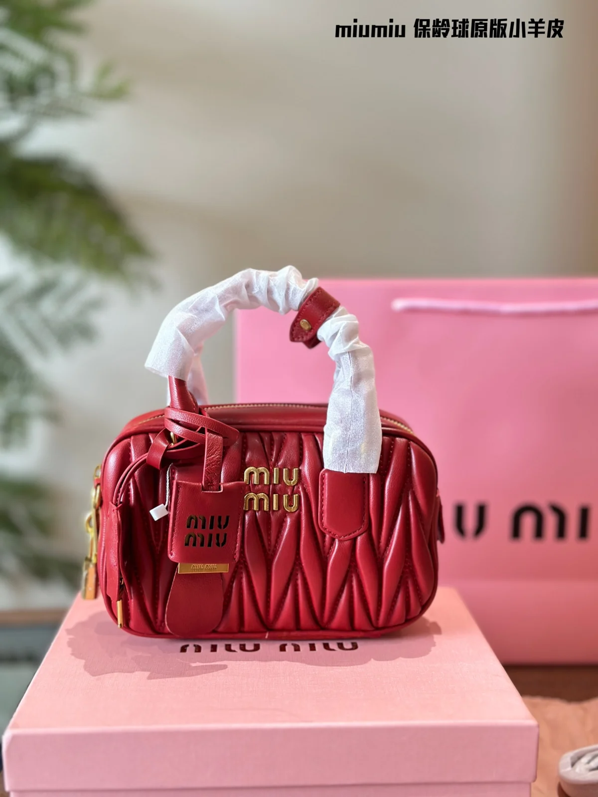 MiuMiu Bag