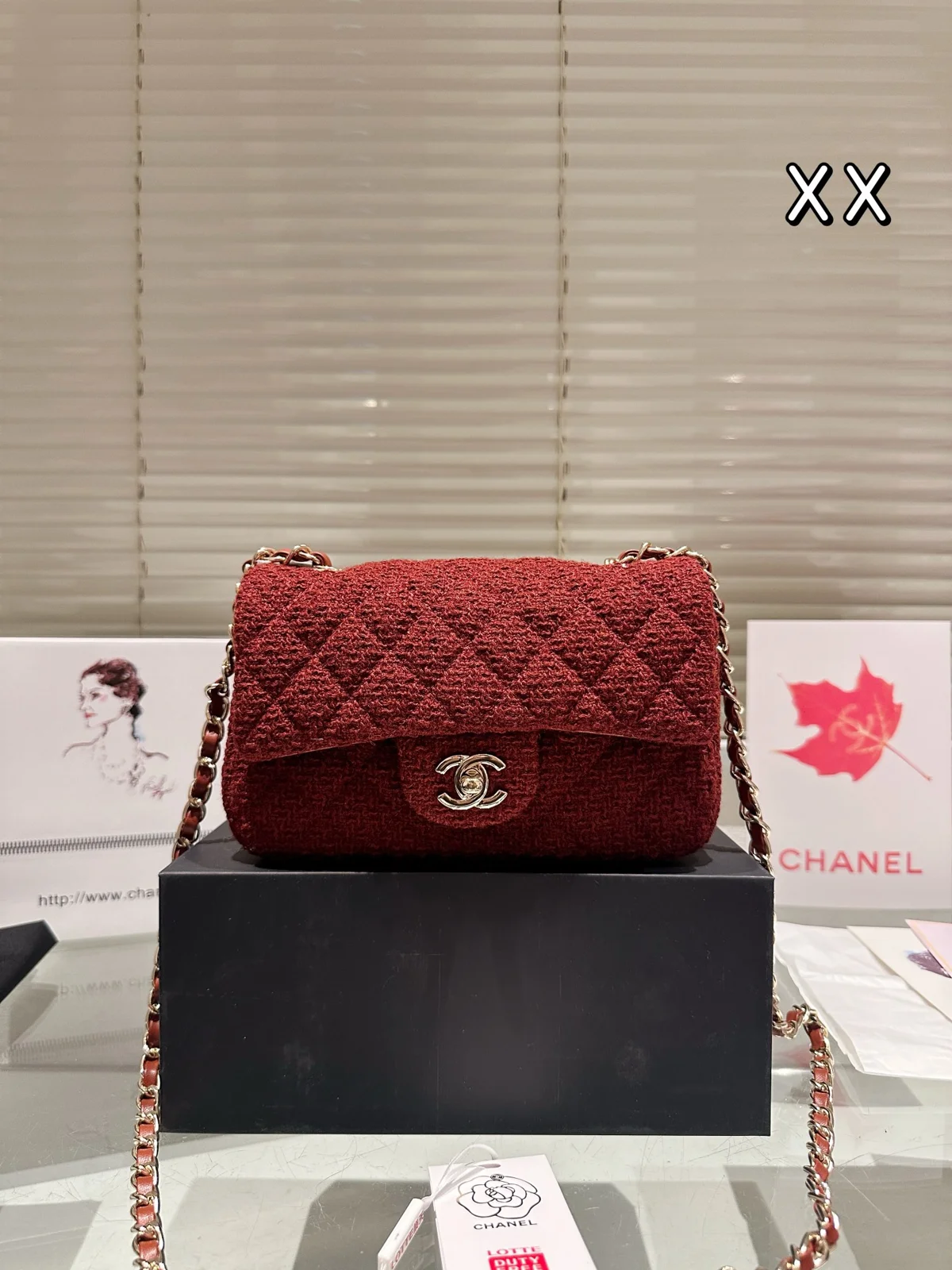 Chanel Bag