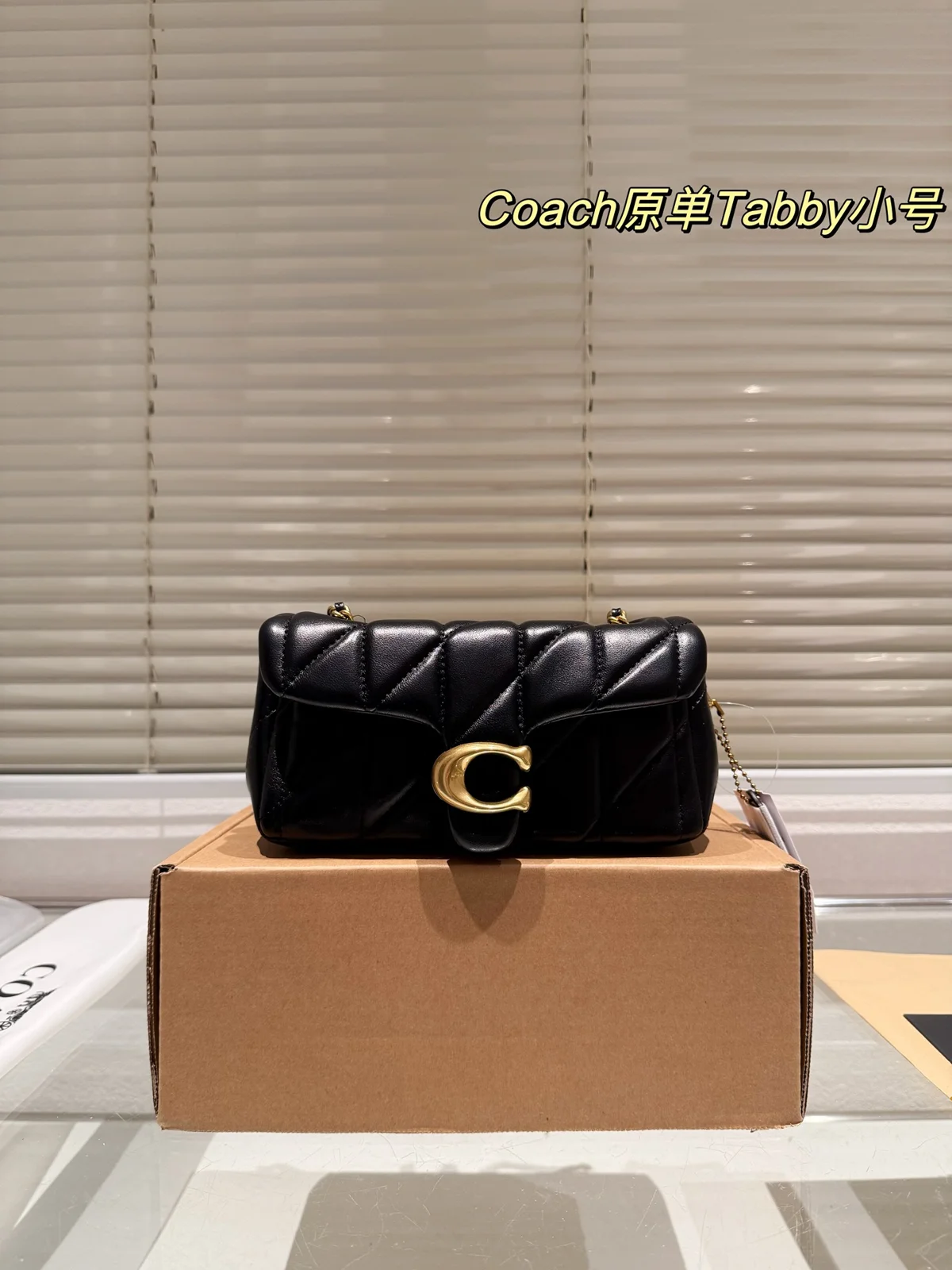 COACH Dionysus