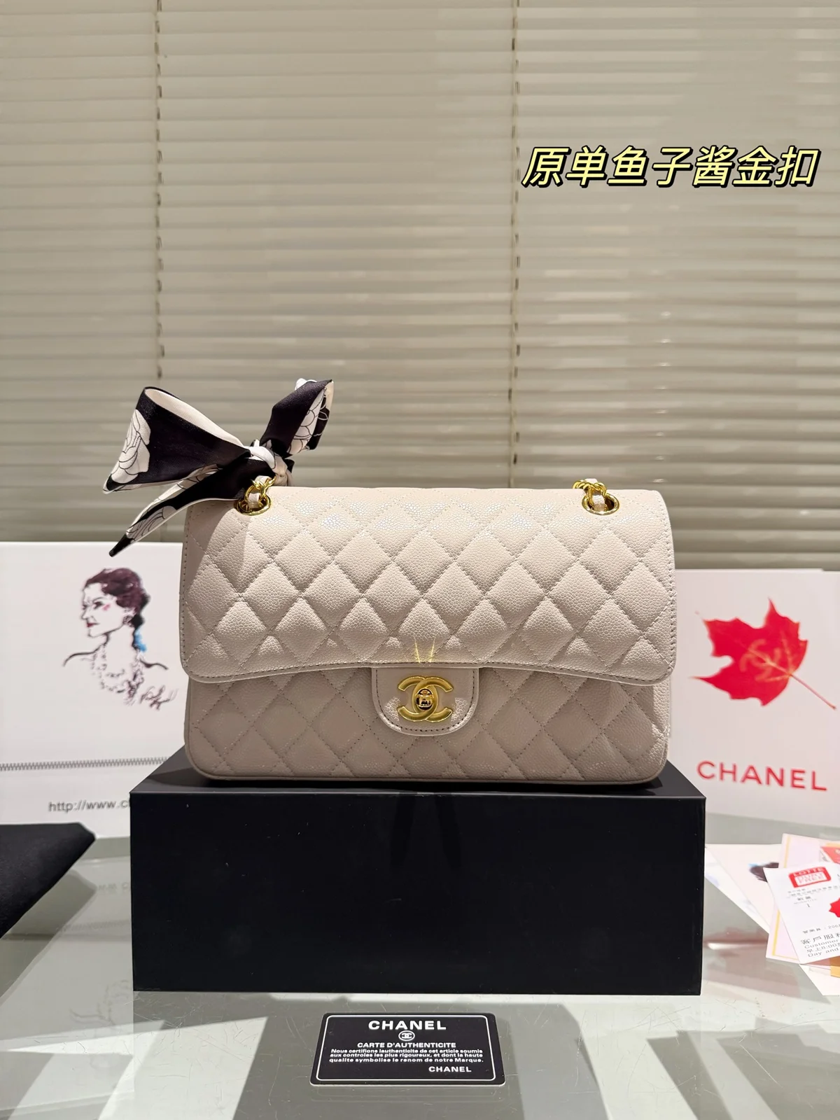 Chanel Bag