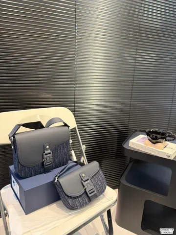 Dior Saddle