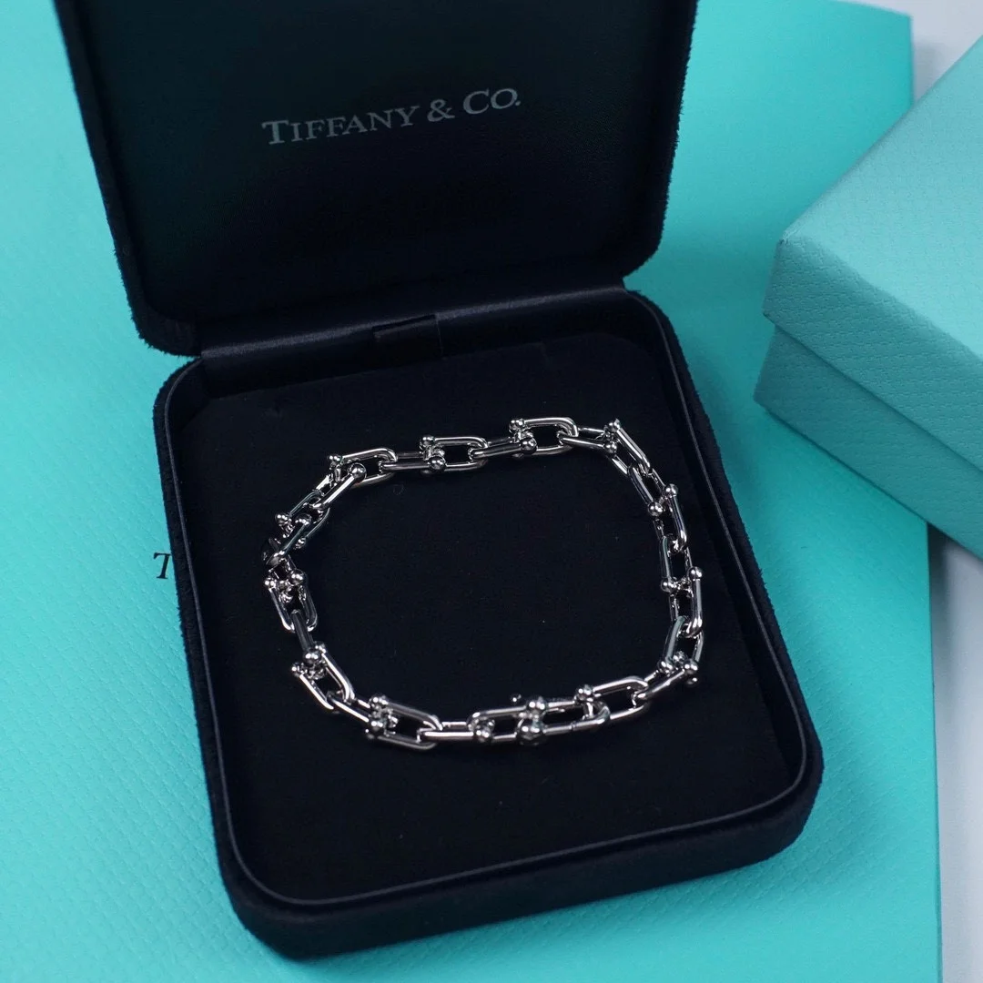 Tiffany horseshoe clasp bracelet