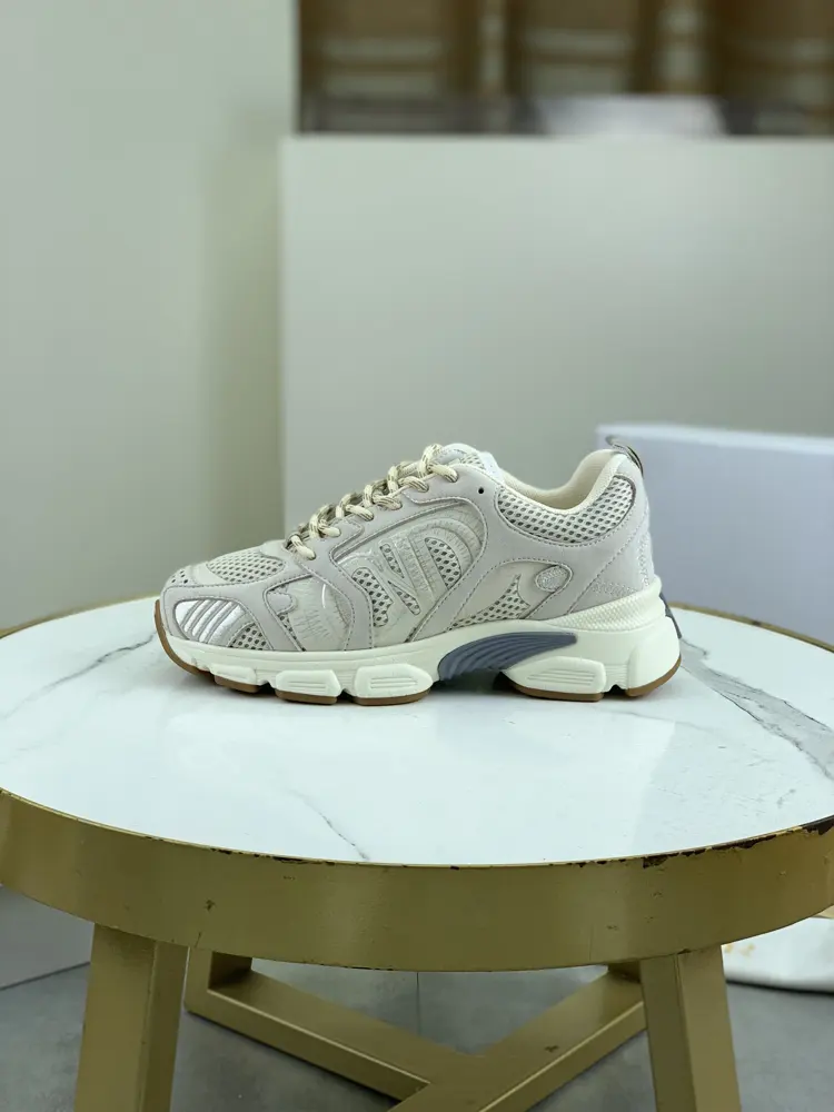 Dior CHRONO shoes have a lot of silver shiny structures with gray mesh materials. The soles