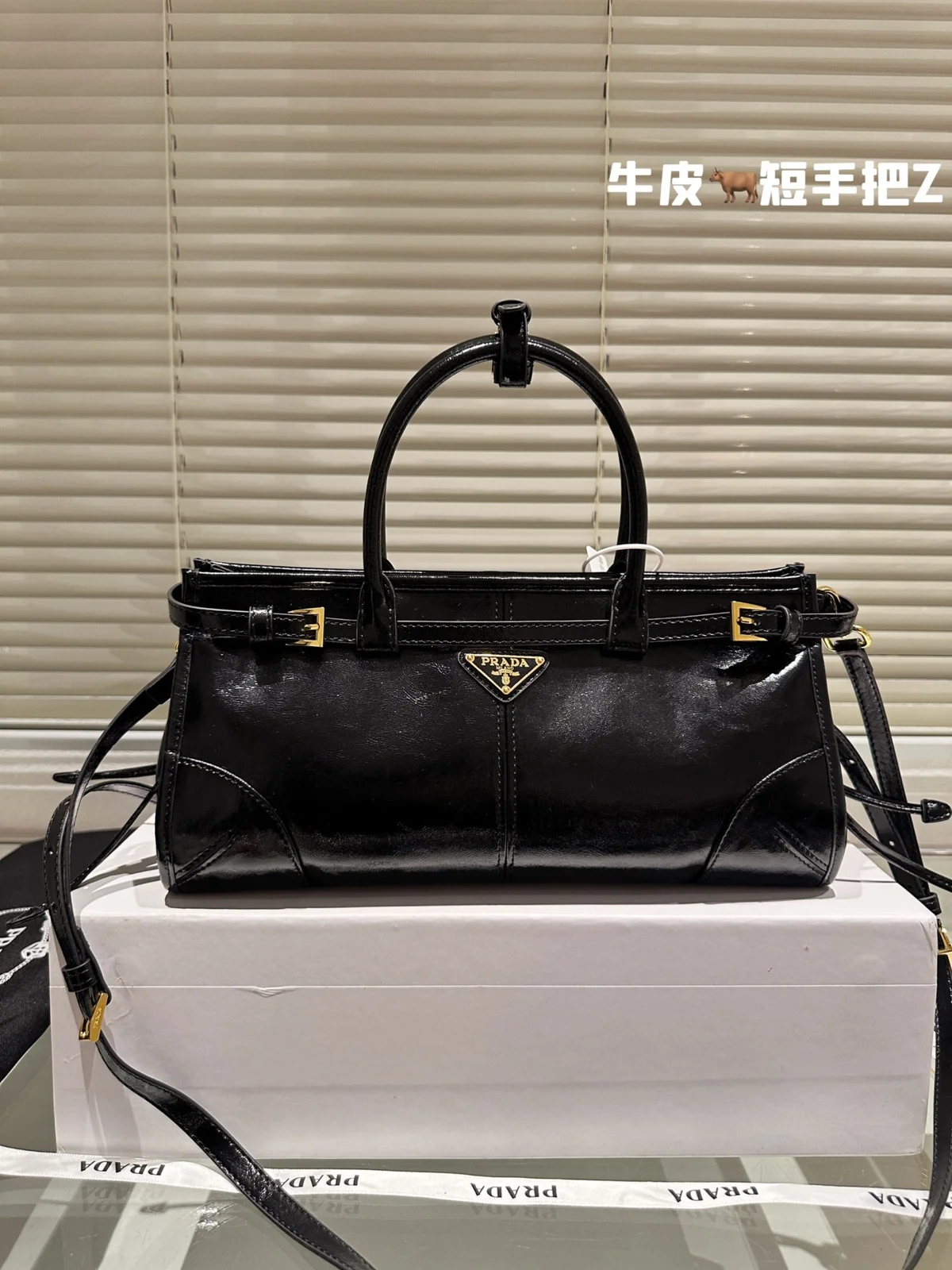Prada Bag