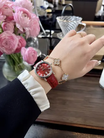 Tissot Watch