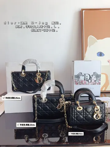 Dior Bag