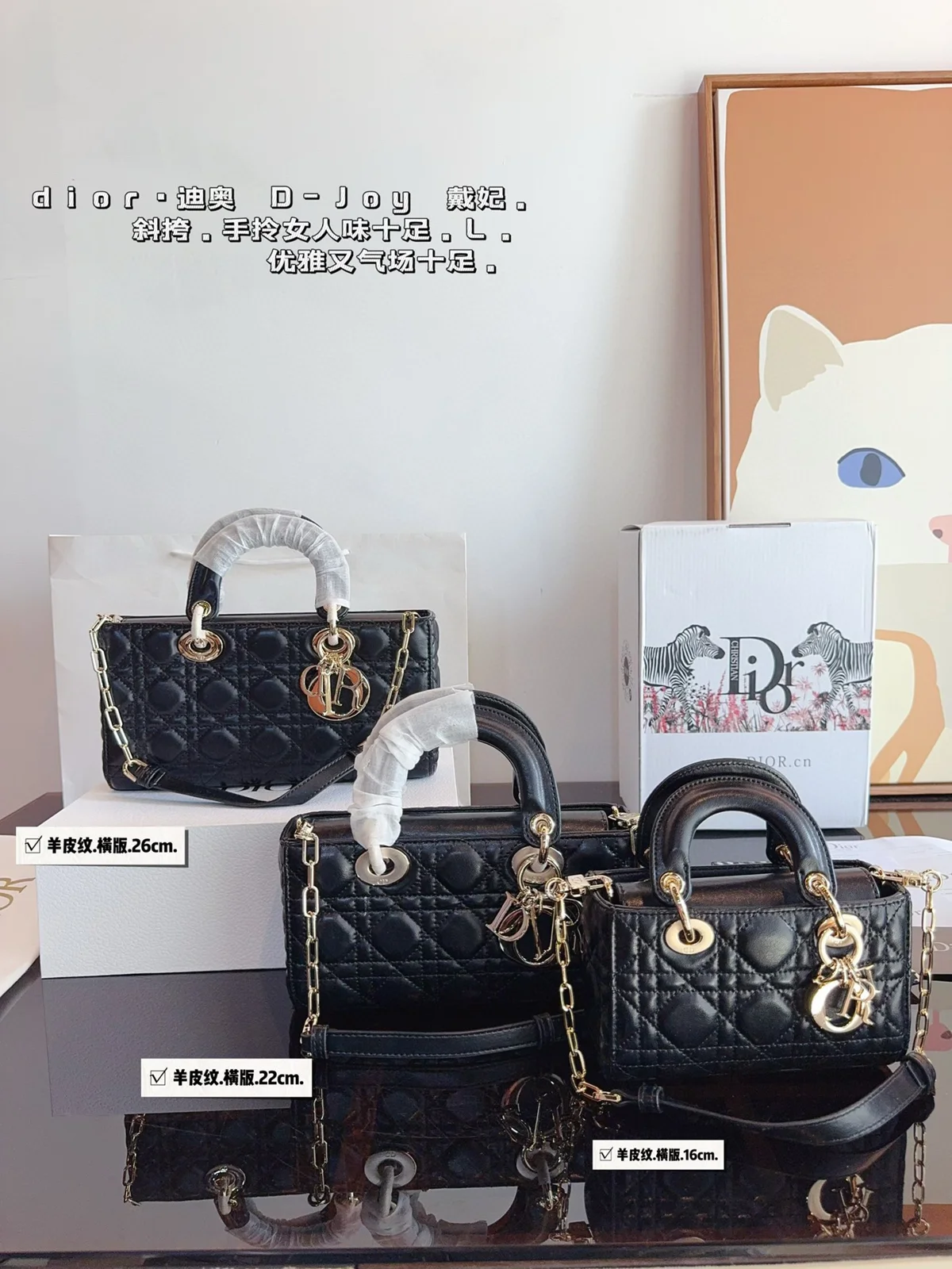 Dior Bag