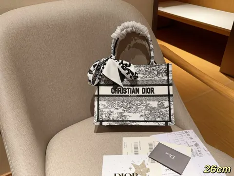Dior Book Tote