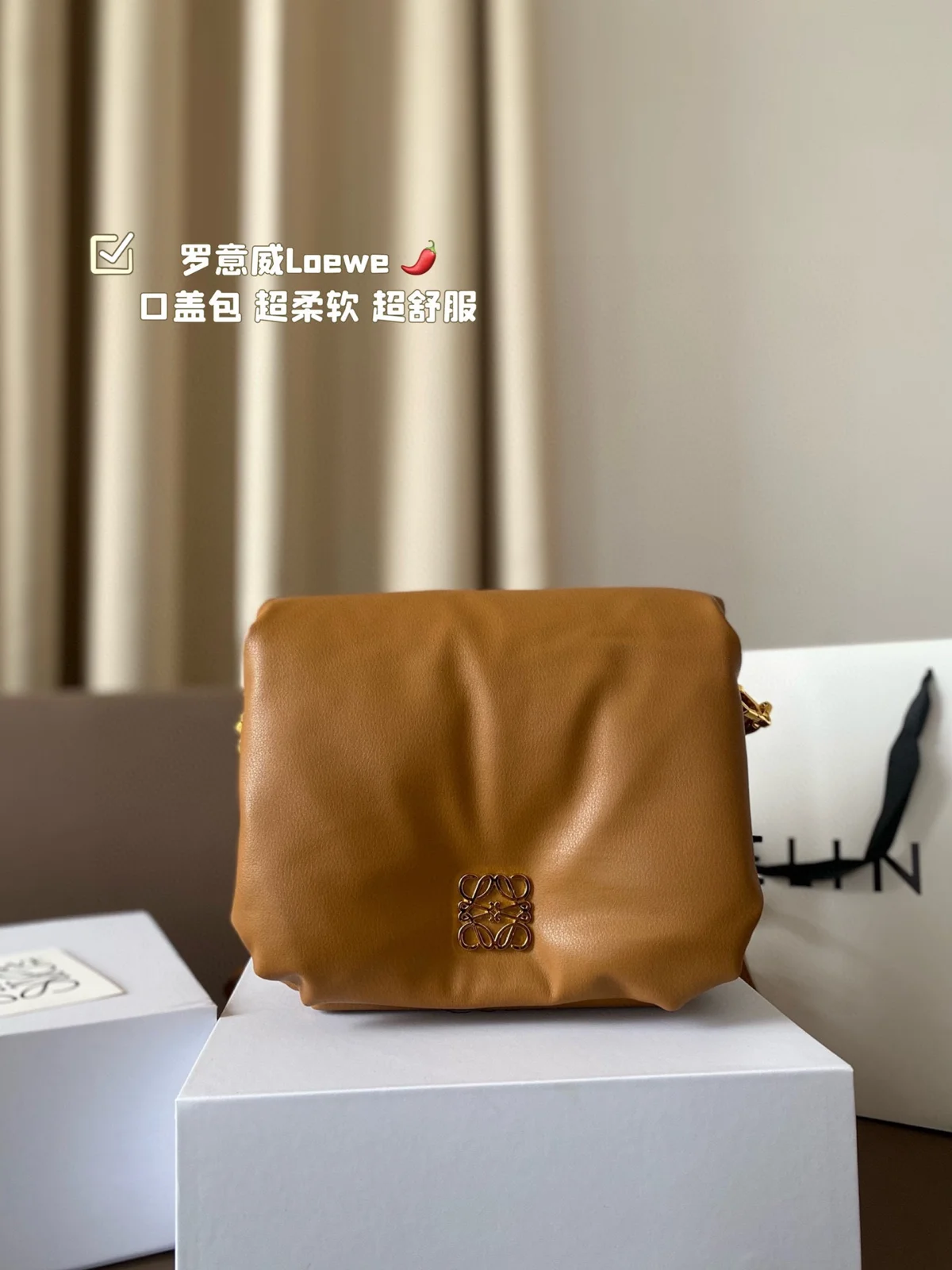 Loewe Bag