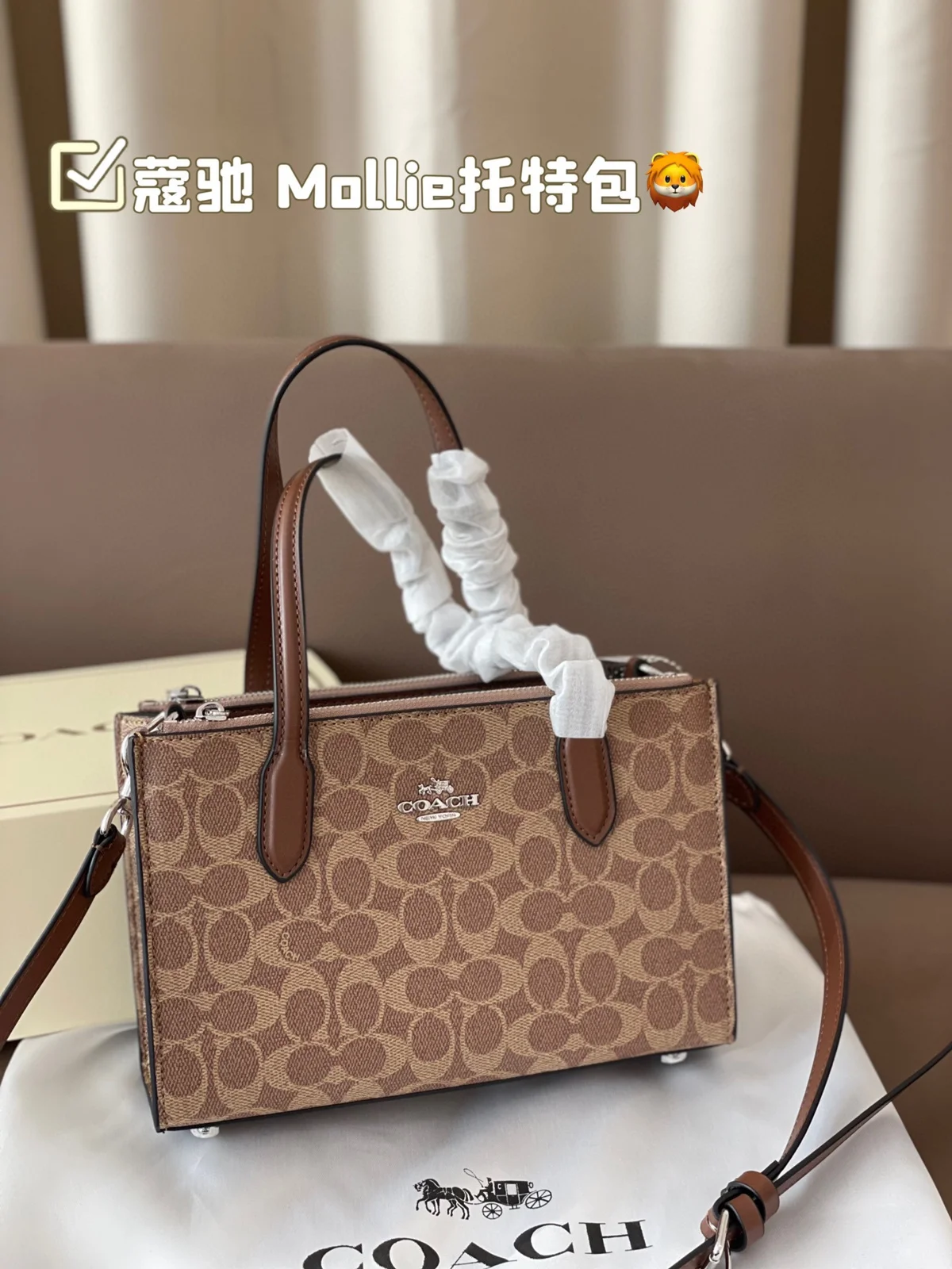 COACH Tote