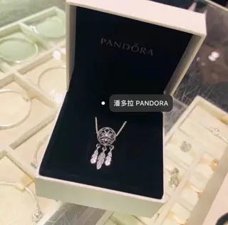 Pandora Dreamcatcher Silver Necklace