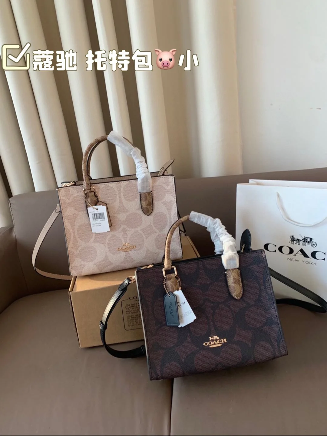 COACH Tote