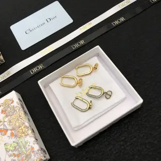 DIOR earrings
