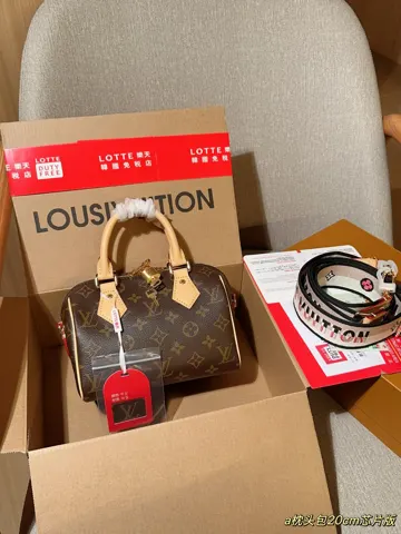 Louis Vuitton Bag