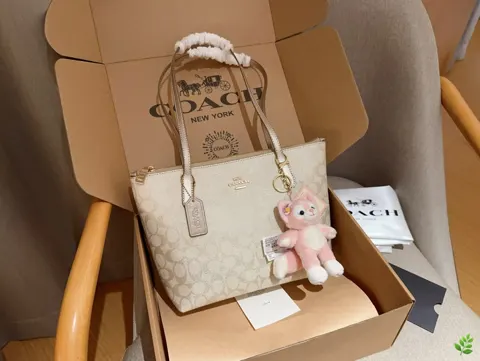 COACH Tote